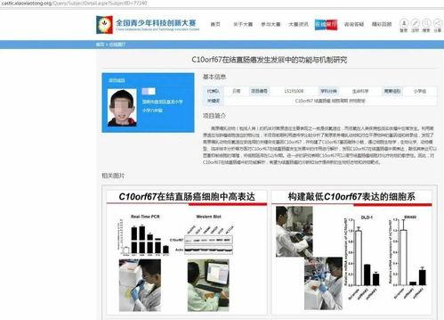 每日大赛怎么看评论,热议焦点与观众心声