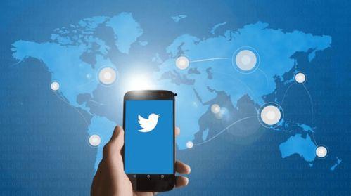 每日大赛twitter网站,追踪全球竞技盛宴！”