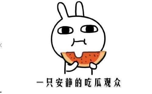热门事件吃瓜网站,吃瓜群众视角下的热点追踪