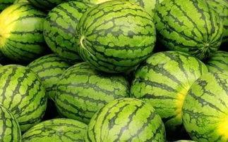 每日大赛吃瓜黑料每日大赛聚集地八戒视频最新,揭秘每日大赛吃瓜黑料，揭秘大赛聚集地幕后真相
